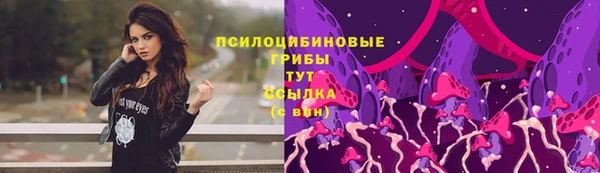 стаф Беломорск