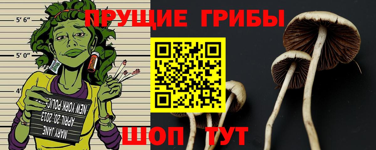 Псилоцибиновые грибы Cubensis  Вход с VPN  дарнет шоп  Воскресенск 